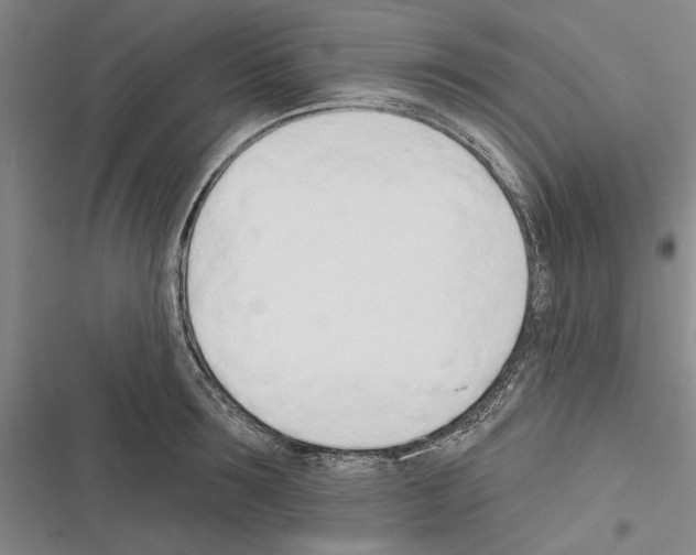 X0000116380899201001131806