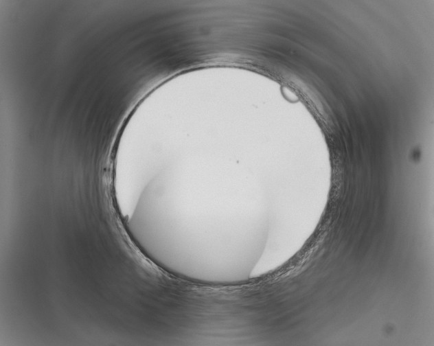 X0000116380900201001131806