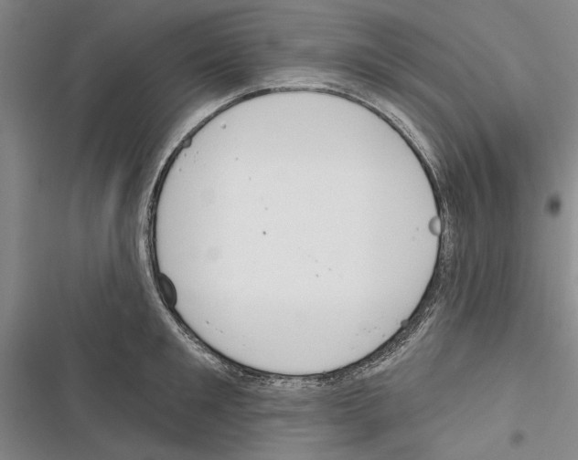 X0000116380901201001131806