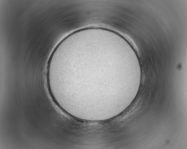 X0000116380903201001131806