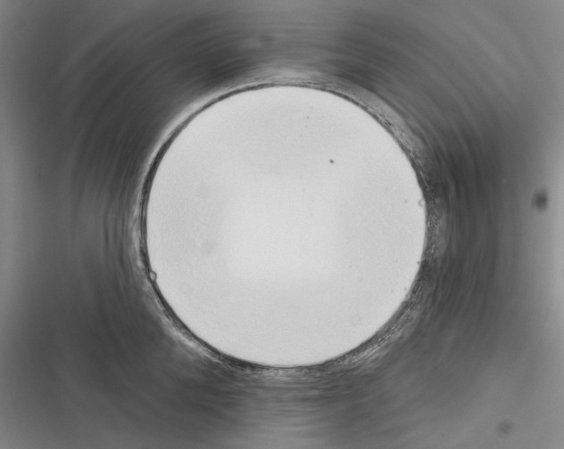 X0000116380904201001131806