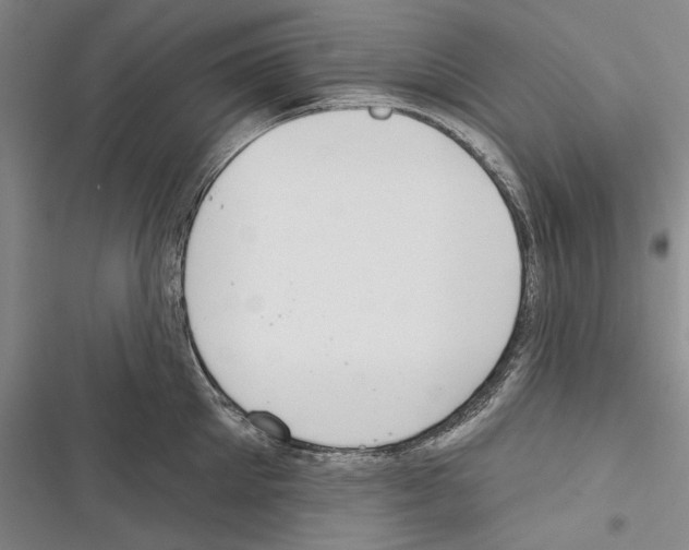 X0000116380905201001131806