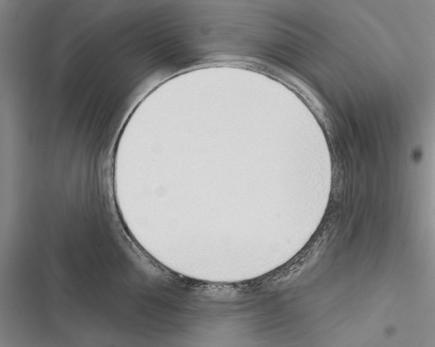 X0000116380907201001131806