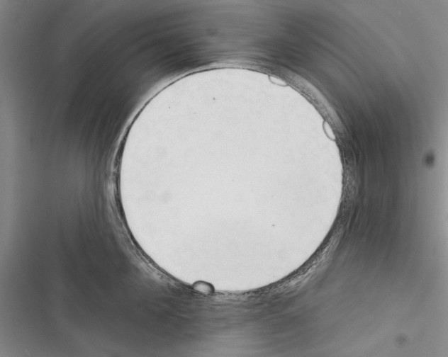 X0000116380908201001131806