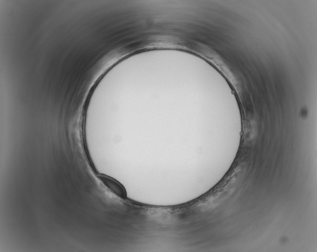 X0000116380909201001131806