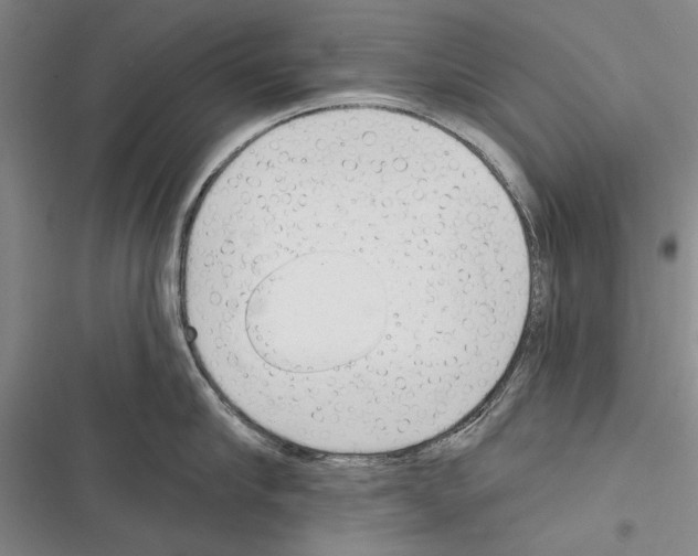 X0000116380910201001131806