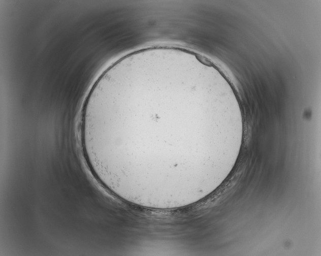 X0000116380911201001131806