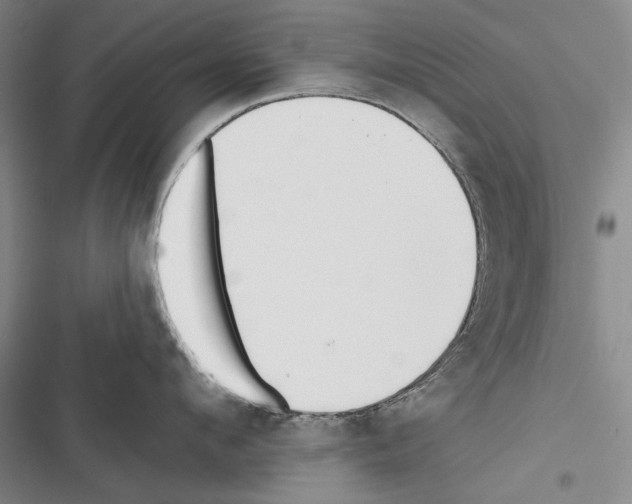 X0000116380912201001131806