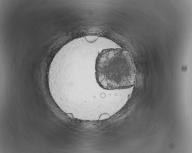X0000116380913201001131805
