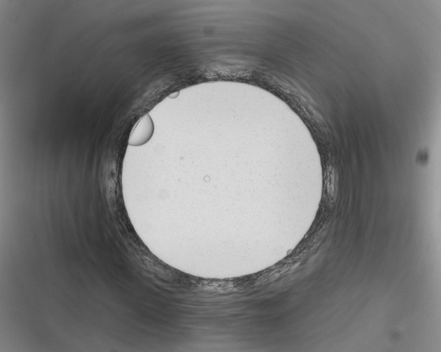 X0000116380915201001131805