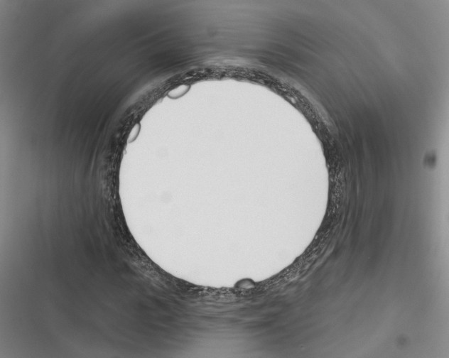 X0000116380919201001131805
