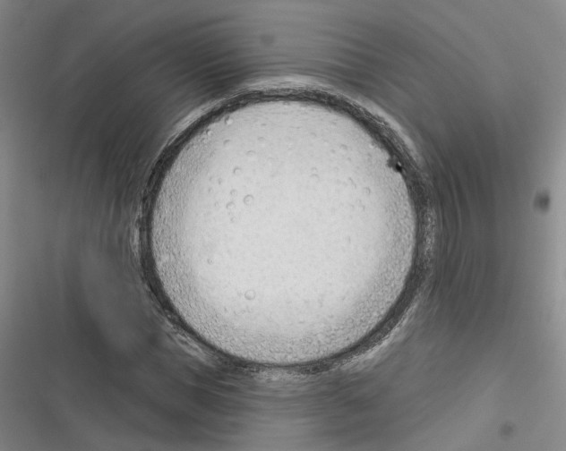 X0000116380921201001131805