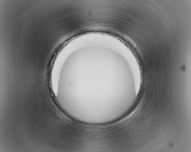 X0000116380922201001131805
