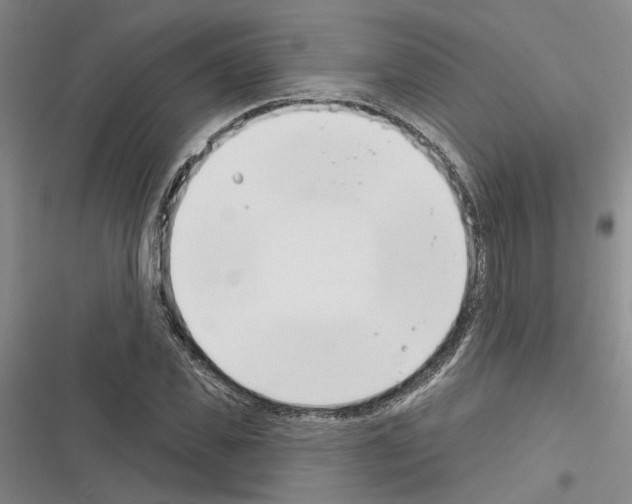 X0000116380925201001131805