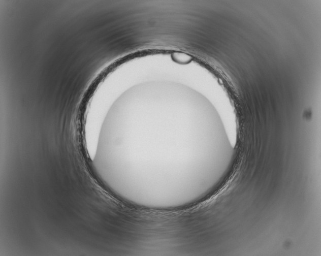X0000116380926201001131805