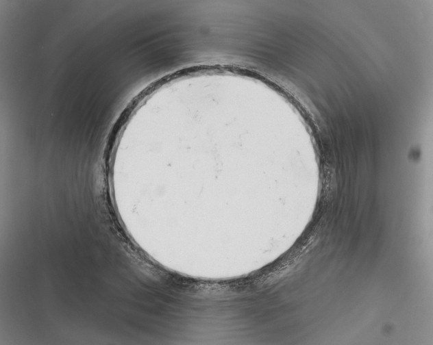 X0000116380927201001131805