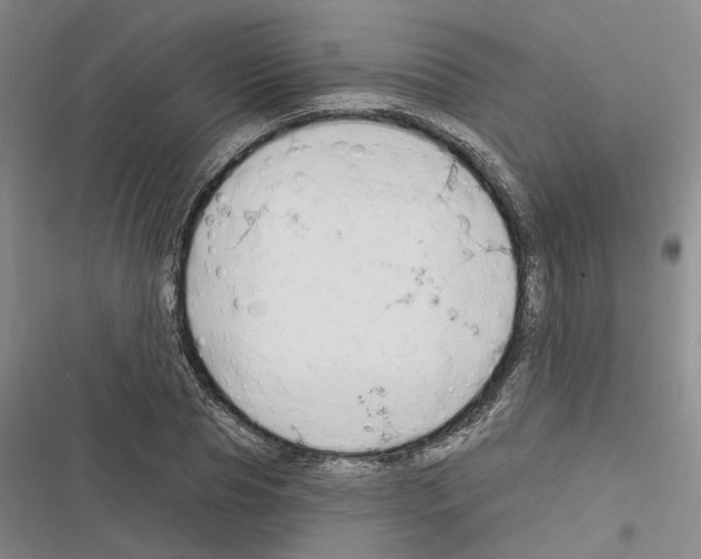 X0000116380929201001131805
