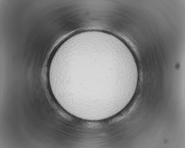 X0000116380933201001131805