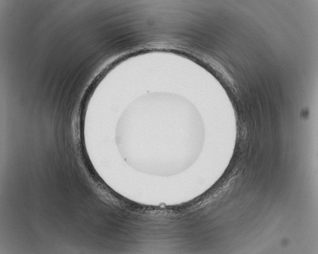 X0000116380934201001131805