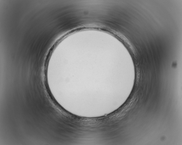 X0000116380935201001131805