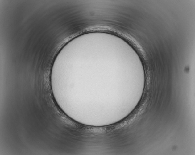 X0000116380937201001131805