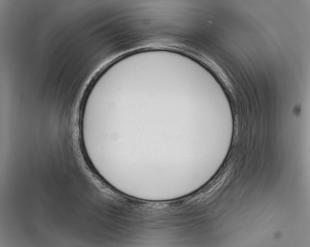 X0000116380939201001131805