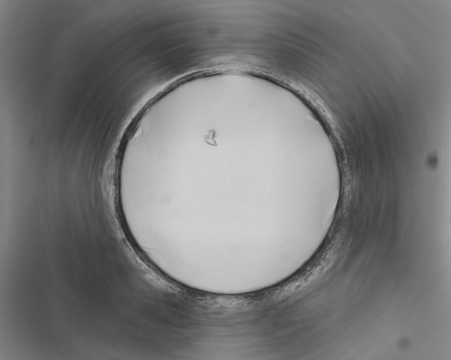 X0000116380941201001131805