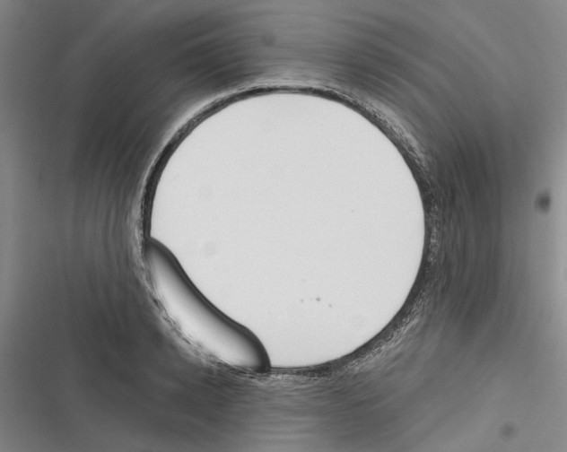 X0000116380942201001131805