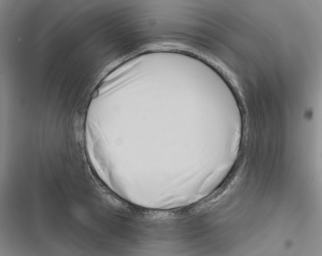 X0000116380945201001131805