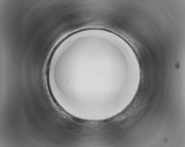 X0000116380950201001131805