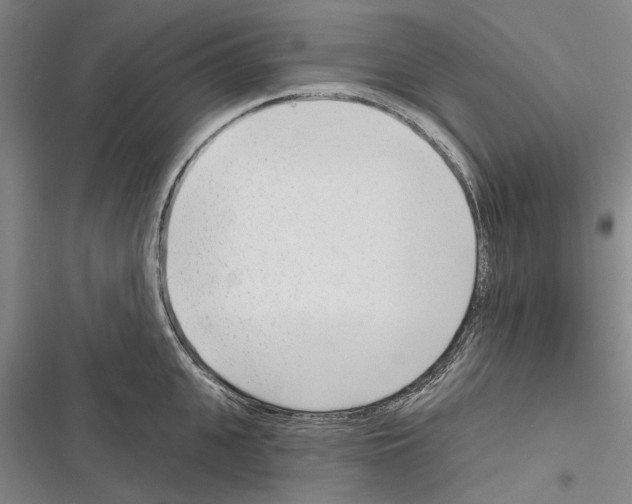 X0000116380951201001131805