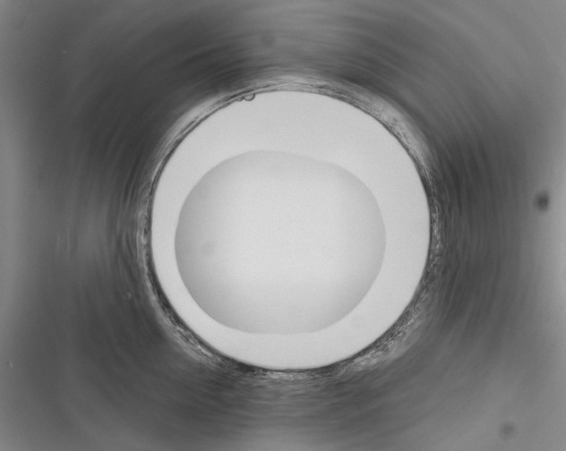 X0000116380954201001131806