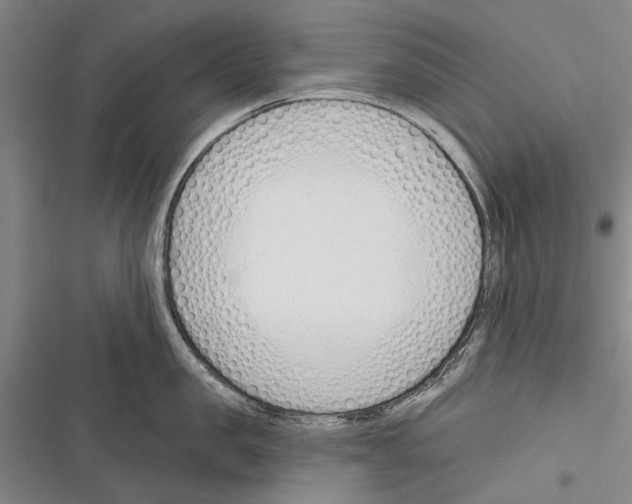 X0000116380957201001131806