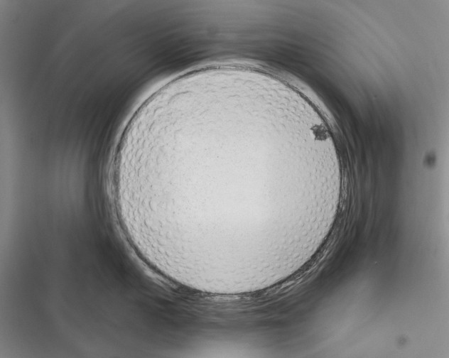 X0000116380959201001131806