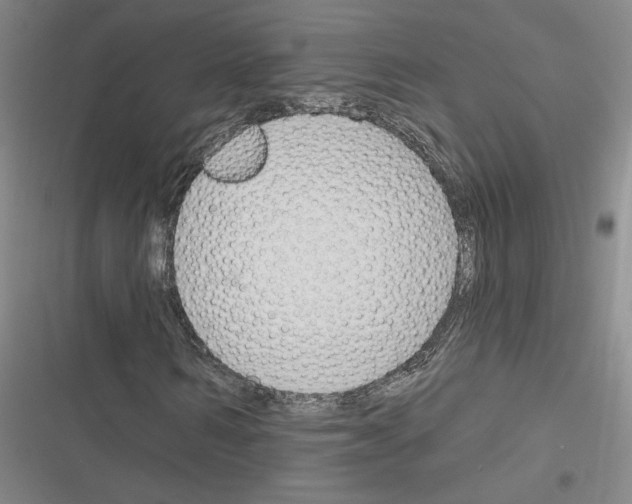 X0000116380962201001131805