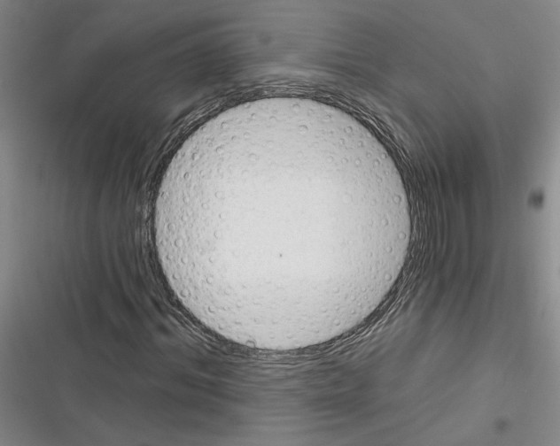 X0000116380964201001131805