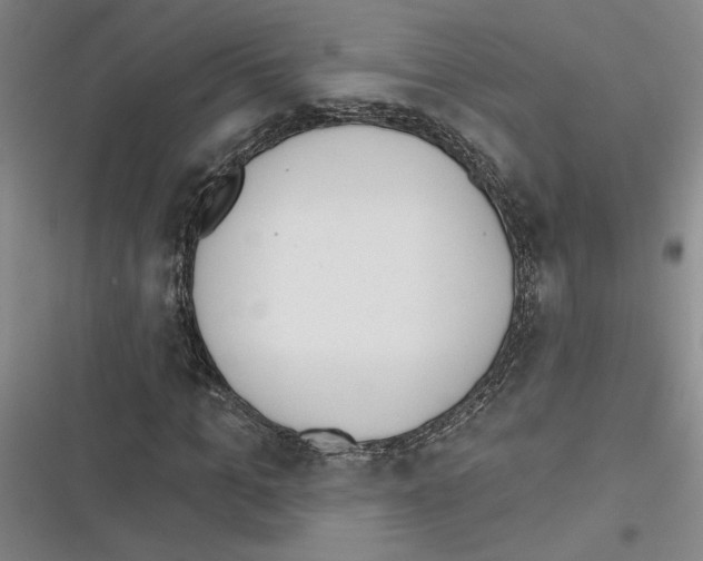X0000116380965201001131805