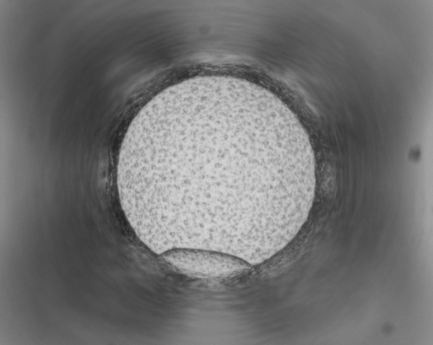 X0000116380966201001131805