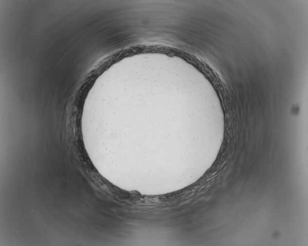 X0000116380968201001131805