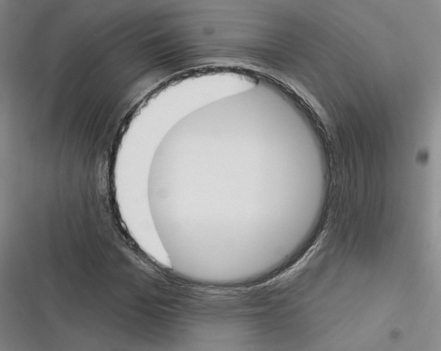 X0000116380969201001131805