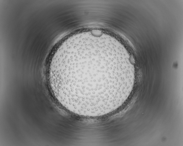 X0000116380970201001131805