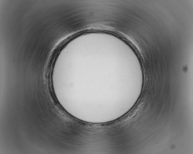X0000116380971201001131805