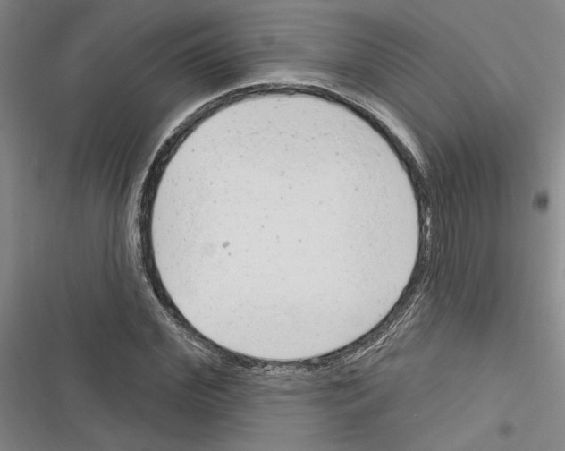 X0000116380972201001131805