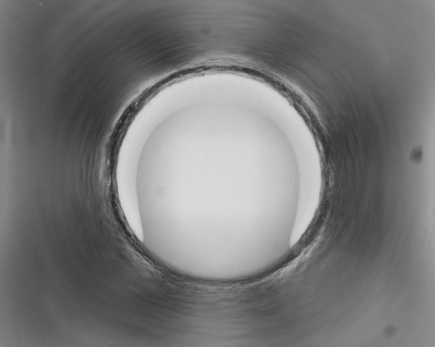 X0000116380973201001131805