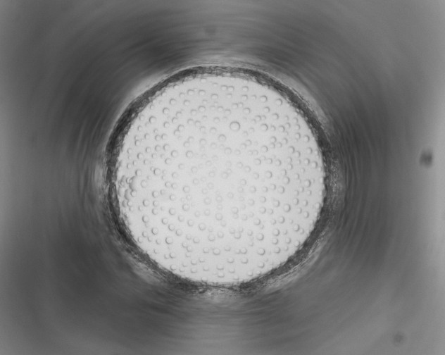 X0000116380974201001131805