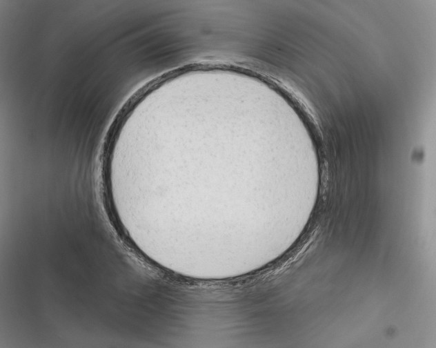 X0000116380976201001131805