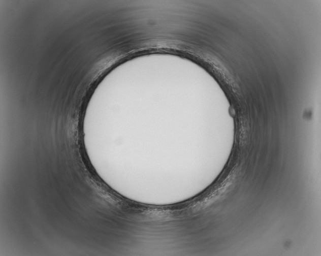 X0000116380977201001131805