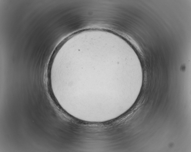 X0000116380980201001131805
