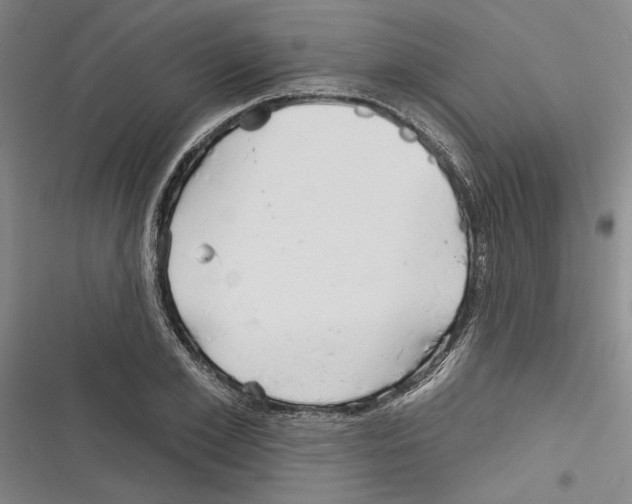 X0000116380981201001131805