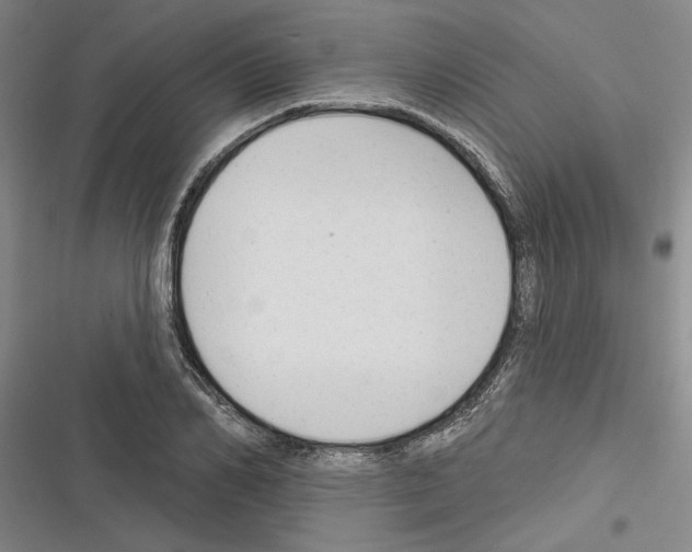 X0000116380982201001131805